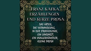 Erzählungen und kurze ProsaAnfang amp Das Urteil1  Erzählungen und kurze Prosa [upl. by Adnor]