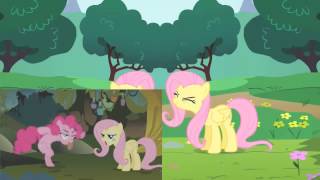 1 Hour HD Fluttershys Yay Song Avast Fluttershys ss [upl. by Manly]