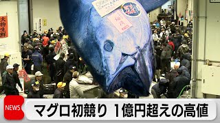 東京・豊洲市場でマグロの初競り 1億円超えの高値（2024年1月5日） [upl. by Libre]