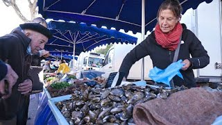 Marché d’Arles  Du soleil en hiver [upl. by Dhiren]