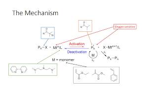 Atom transfer radical polymerization ATRP [upl. by Inaluiak]