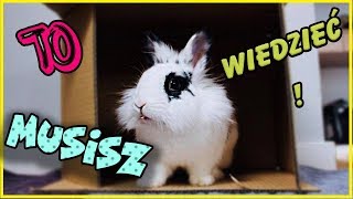 ‼️ Musisz to wiedzieć zanim zdecydujesz się na królika ‼️🐰 [upl. by Aderf137]