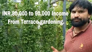 INR 80000 to 90000 Income from Terrace Farming [upl. by Rodman100]