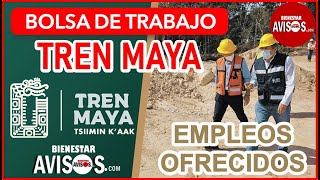 ¿Buscas EMPLEO 🚆 Bolsa de TRABAJO en el TREN MAYA 🌟 ¡Únete al equipo REGÍSTRATE y POSTÚLATE AHORA [upl. by Duyne]