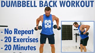 20 Minute Dumbbell Back Workout No Repeat  Great For Beginners [upl. by Fiedler]