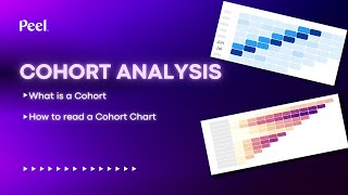 What is a Cohort How to Read a Cohort Analysis Chart [upl. by Ribal]