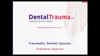 2 Traumatic Dental Injuries Part 1 Fracture Injuries Type 2 Enamel Fractures [upl. by Rodolfo]