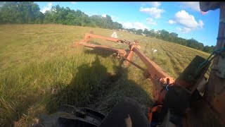 Cutting hay with the Kuhn gmd313 [upl. by Yhprum]