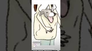 whippets cuteanimal puppy pettraining cutepetcutepuppy whippetpuppydogartist dogartisttips [upl. by Leo313]