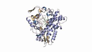 P450 enzyme PikC adopts closed conformation upon substrate binding [upl. by Tertius]