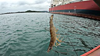 Mancing Di Laut Menggunakan Umpan iniDitarik ikan Besar Sampai Kewalahan [upl. by Alie813]