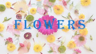 Flowers Name flowers name with pictures flowers name with spelling flowers name Chetankidsstudy [upl. by Arhas]