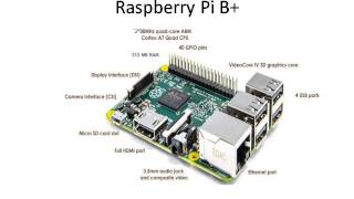 Raspberry Pi B India  Robomart [upl. by Urbanna648]