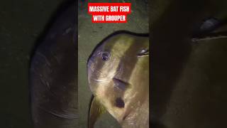 MASSIVE BAT FISH WITH RED GROUPER😱 fishing nightspearfishing gopro fish [upl. by Trescha539]