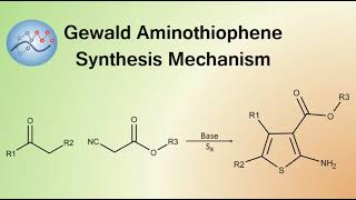 Gewald Aminothiophene Synthesis Mechanism  Organic Chemistry [upl. by Eisenhart]