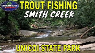 TROUT FISHING GEORGIAS SMITH CREEKUNICOI STATE PARK CREEK FISHING ADVENTURE [upl. by Chester84]