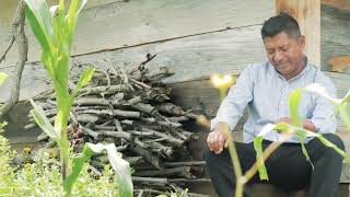 Ojitos Soñadores  VideoClip Oficial  Los aradores de Oaxaca [upl. by Sheeree]