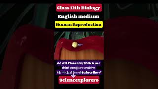 Human Reproduction  Class 12th  Biology ncert neet cbse [upl. by Arinayed]