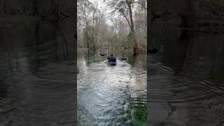 Beautiful Fall Kayaking through Santa Fe River and Gilchrist Blue Springs with Get Up And Go Kayak [upl. by Laundes]