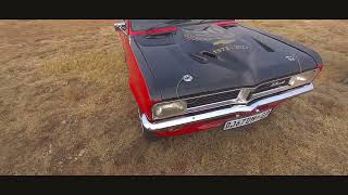 Cars in the Park  Zwartkops Raceway Walk Around PT 1 [upl. by Colyer]