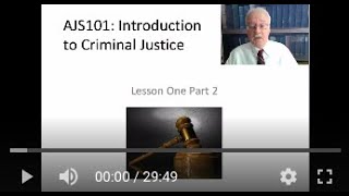 Elements of the Criminal Justice System [upl. by Granoff941]