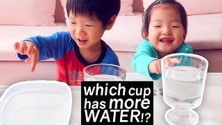 KIDS ANSWER WHICH CUP HAS MORE WATER  Piaget Conservation of Mass Task [upl. by Feeley953]