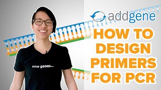 How to Design Primers for PCR [upl. by Jenness438]