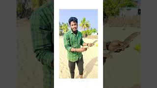 face glow fish Mee rowdy boy saaho fishingtrending yt king see [upl. by Newell]