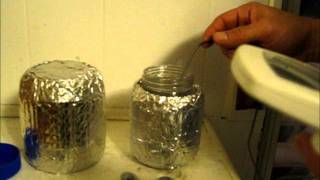 DIY THERMOS TEST [upl. by Augustus]