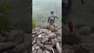 Catching bonefish with the ghetto super fly hawaii bonefish bonefishing fish fishing flyfisher [upl. by Narual]