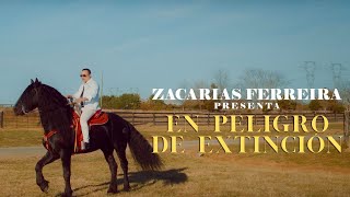 Zacarías Ferreira  EN PELIGRO DE EXTINCIÓN video oficial [upl. by Etac]