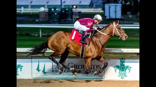 2021 Gun Runner Stakes Replay And Recap  Kentucky Derby Prep [upl. by Nam]