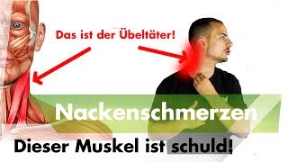 Nacken und Kopfschmerzen  Löse JETZT diesen Muskel [upl. by Initof]