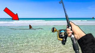 Fishing the Most SHARK INFESTED Beach in the World Surprise Catch [upl. by Kelvin]