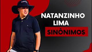 SINÔNIMO DE AMOR É AMAR  NATANZINHO LIMA  MÚSICA NOVA  SERESTA OUTUBRO 2024  NO 12 [upl. by Brahear]