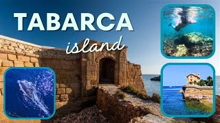 How to get to Tabarca Island  Snorkelling and Dolphins in Alicante Costa Blanca  Spain Travel Vlog [upl. by Walczak]