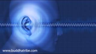 Solfeggio Frequencies Healing Sounds Brain Waves Fibonacci Sequence [upl. by Reklaw478]