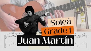 Tutorial Soleá by Juan Martín GRADE 1 [upl. by Mellen507]