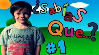 10 COSAS QUE QUIZÁS NO SABIAS  Thiago [upl. by Nodle127]