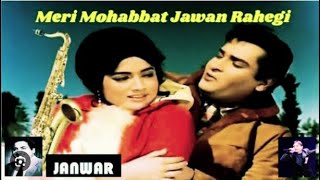 Meri Mohabbat Jawan rahegi  shammi kapoor Rajshri  Mohammed rafi  Jaanwar old [upl. by Linell]