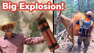 Mules Packing EXPLOSIVES Vlog 26 [upl. by Silverman]