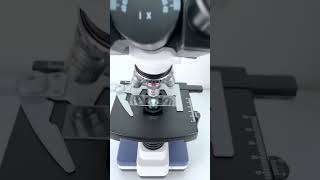 Cat saliva at 400X magnification is seriously so coolfyp funnyvideos microscope funny [upl. by Ardnosak]