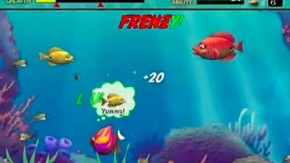 FEEDING FRENZY GAME HOUSE quotSTAGE ANGEL REEFquot [upl. by Kall]