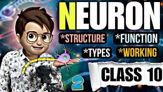 Neuron structure function and working CLASS10  ncert cbse animated😨 [upl. by Annas]