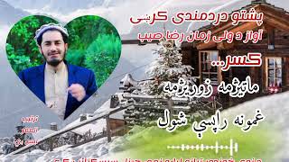 wali zaman Raza رضا وزير ماتيژمه زوريژمهnew nazam2024 pashto nzmona jihadi tarani  nasheed [upl. by Urbannal17]