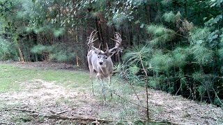 Seek  One  Episode 3  Atlanta Deer Hunting [upl. by Aneerol]