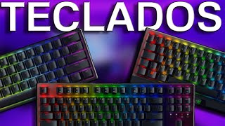 TOP 3 TECLADOS GAMER 2024  LOS 3 MEJORES TECLADOS GAMER DE 2024 [upl. by Rhianon]