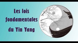 Yin yang lois quest ce que cest yin et yang yin yang taichi yin yang concept [upl. by Meikah367]