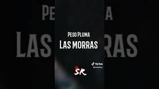 Morritas Peso Pluma [upl. by Ivar533]