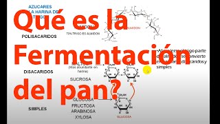 Qué es la fermentación panadera paso a paso [upl. by Atlante]